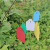 100pcs Plant  Label Plastic Pvc Hanging Tag Marker Waterproof Garden Flower Gift