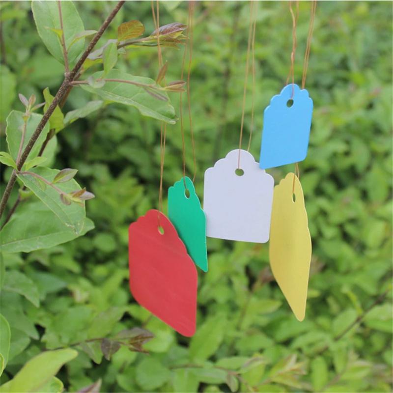 100pcs Plant  Label Plastic Pvc Hanging Tag Marker Waterproof Garden Flower Gift
