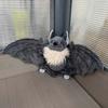 New 25cm Halloween Plushy Stuffed Bat Doll Plush Throw Pillow for Boys and Girls Christmas Halloween Decoration Holiday Gifts