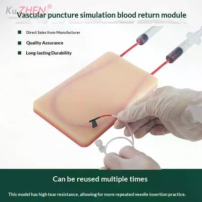 U-shaped Vascular Intravenous Injection Practice Module, Simulating Blood Vessel Return, Medical Student Nurse Practice Puncture
