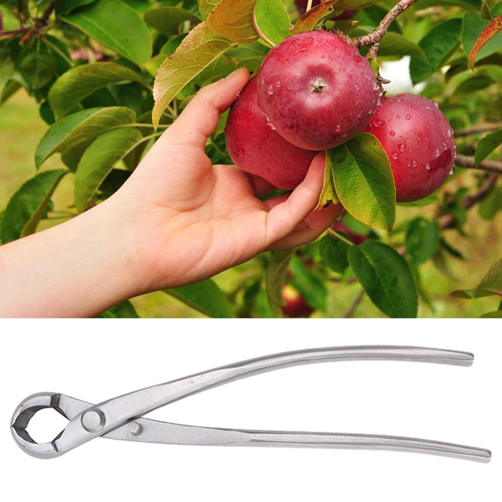 Concave Cutter Chromium Alloy Silver Bonsai Concave Branch Cutter Durable Gardening Concave Pruner for Home Yard Garden