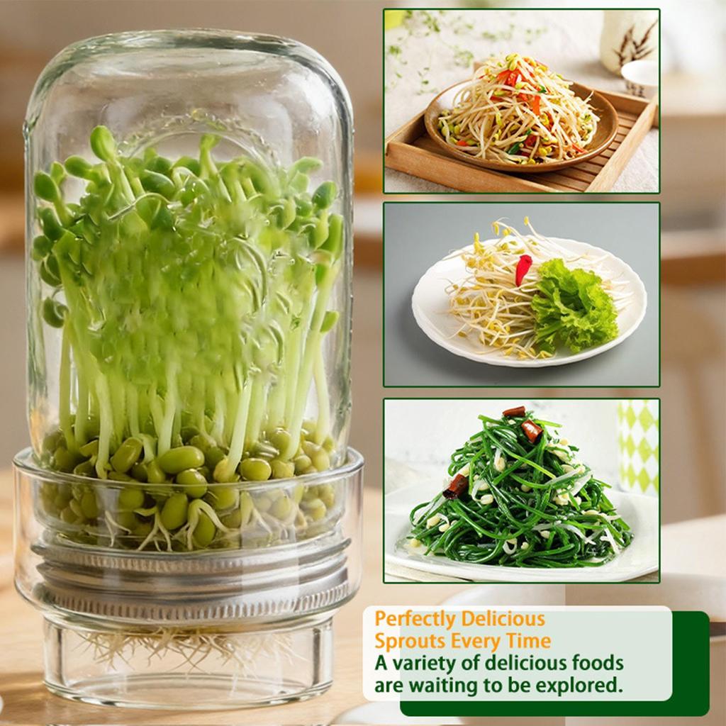Mung Bean Sprouts Growing Jar Kit, for Gardeners Beginners Kitchen Countertop Windowsill Pantry Shelf Home Apartment Office