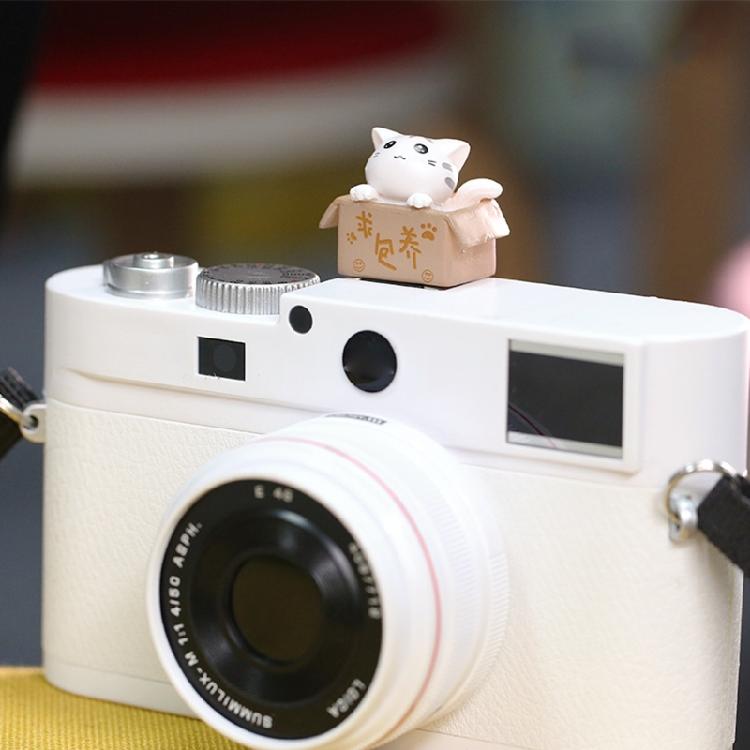 3D kreslený kryt sáněk fotoaparátu Roztomilý pro kočku DSLR Prachotěsný kryt sáněk pro DS