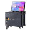 SANSUI Q065 Portable Home KTV & Outdoor Karaoke Speaker CN Plug (adapter Included)