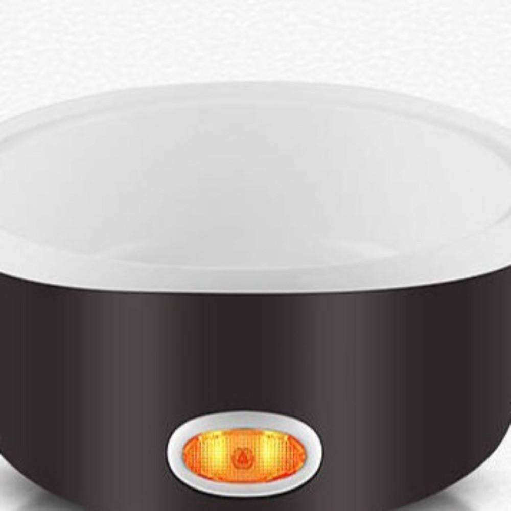 110V Portable Food Warmer 2L Food Heater Portable Heated Bento Box For Picnics
