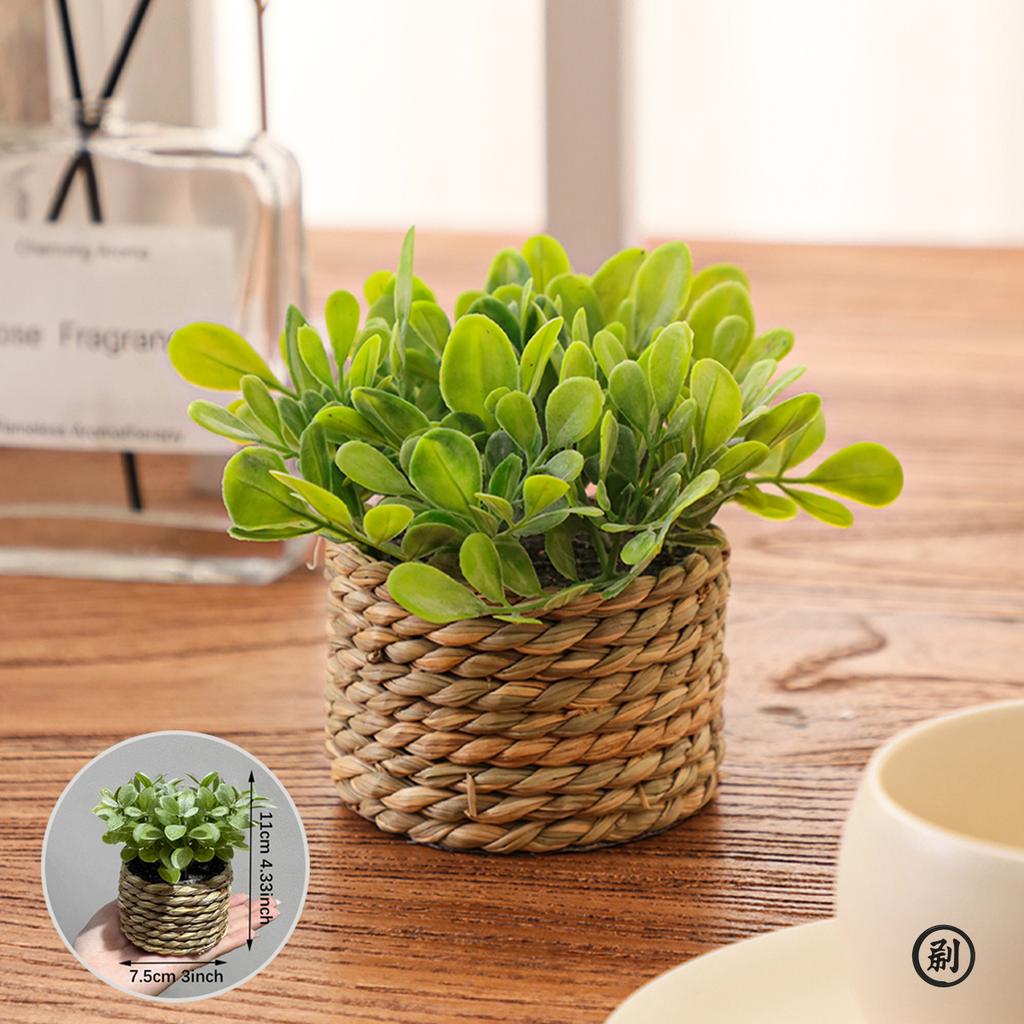 XIYA FLOWER Green Artificial Plants Eucalyptus Grass Woven Small Potted Plants Grass Mound 11cm PE Material Home Decoration
