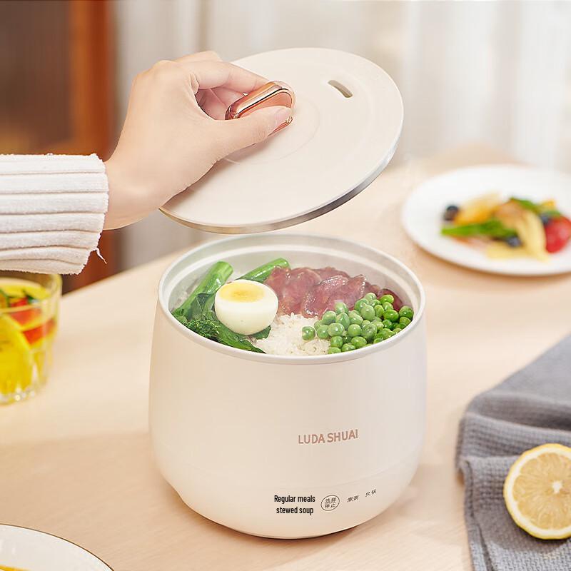 Mini Multifunction Electric Cooking Pot