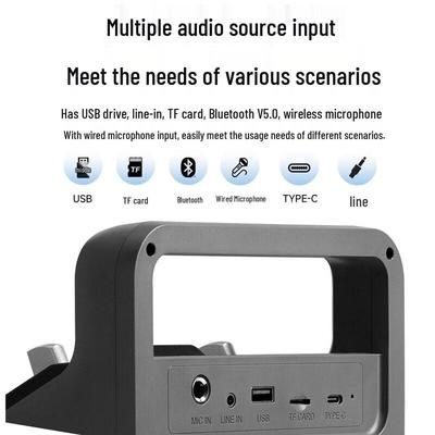 Edifier PP205 Portable Bluetooth K-Song Speaker CN Plug (adapter Included)
