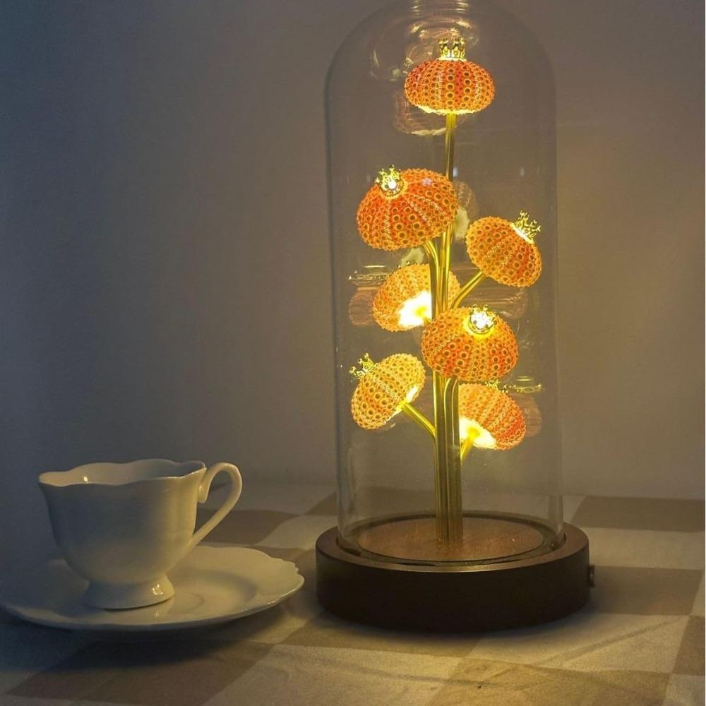 Handcrafted Sea Urchin Shell Night Light - Natural Real Urchin Lamp with Glass Dome Wooden Base, Warm LED Coastal Table Lamp