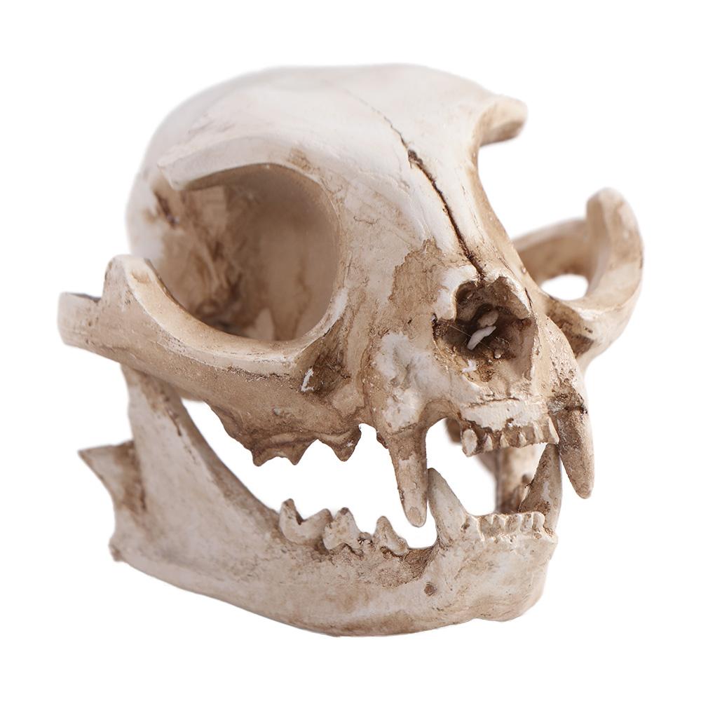 Scary Animal Skull Ornament Funny Cat Skull Statue Artificial Skull Head Halloween Decor Gifts