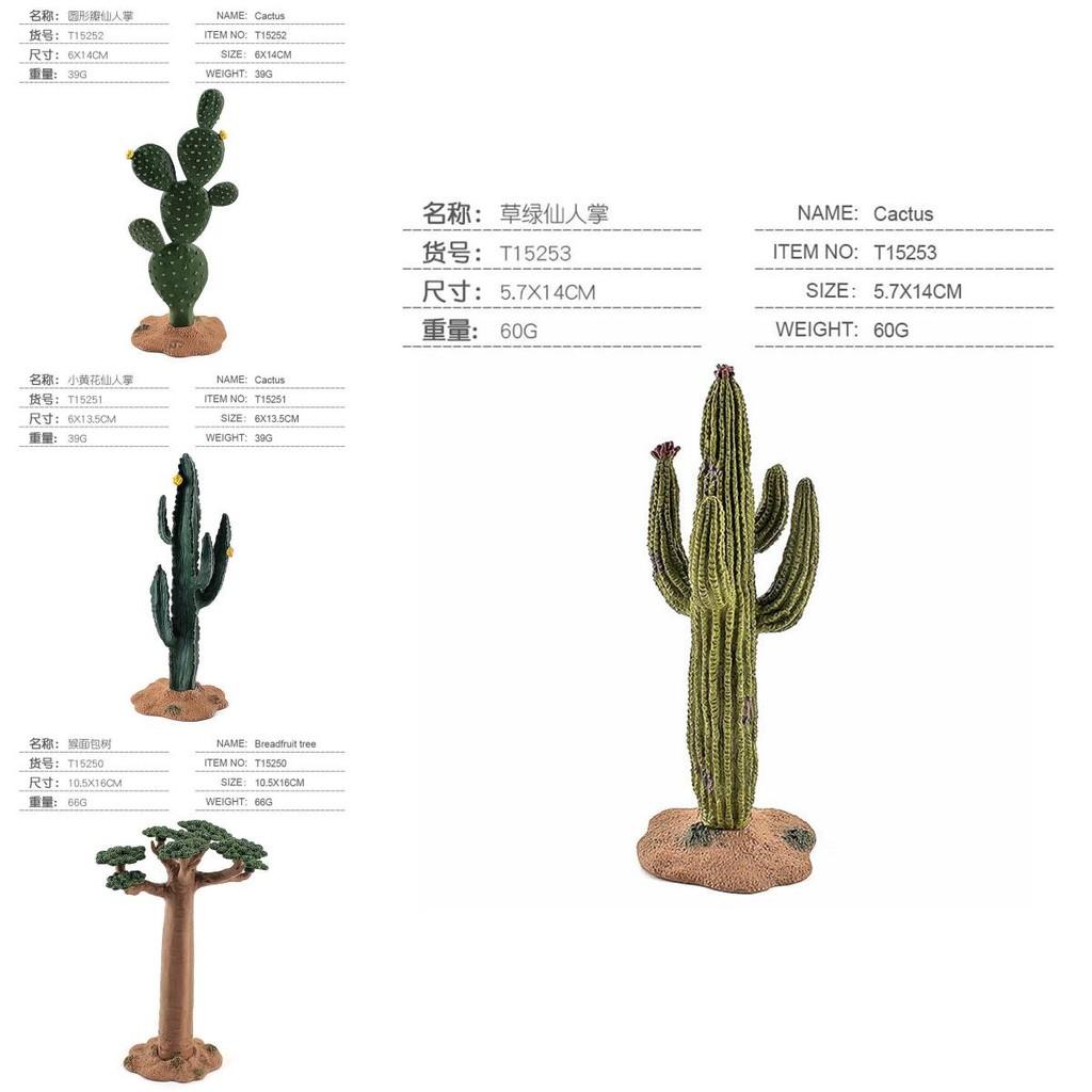 Realistic Pvc Animal Model Scene Decor Tropical Desert Trees Cactus And Baobab Tree Set