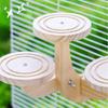 Wear Resistant Parrot Play Rack Bite Resistant Bird Training Stand  Parrot Cage