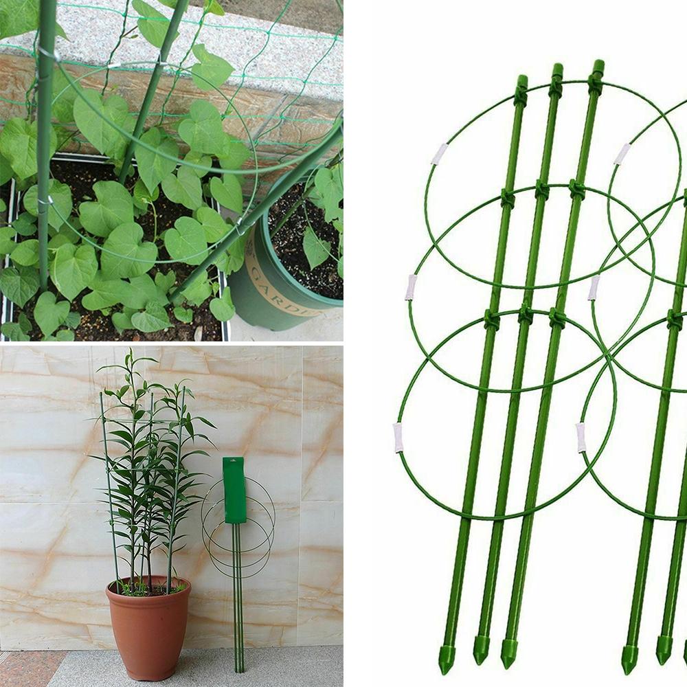 Climbing Plant Support Stand Cage Garden Flowers Easy To Install Reliable