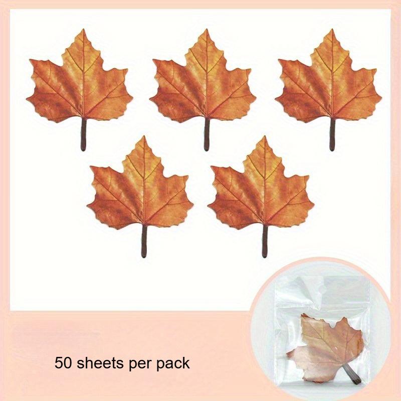 50pc/pack Autumn Leaves Decorative Stickers - Office Supplies, Notebook Stickers, Convenience Stickers, Simulated Leaf Design