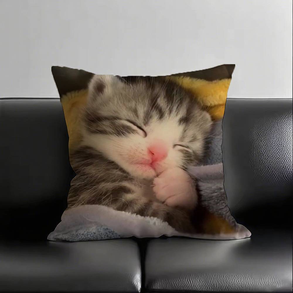1pc Sleeping Kittens Pillow Case Square Bedroom Sofa Leisure Comfort Cushion Car Living Room Home Decoration