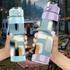1PC Geometric Block Abstract Print 750ml Color Plastic Sports Water Bottle Leakproof Flip Straw Lid Suitable for Sports Office Home Use