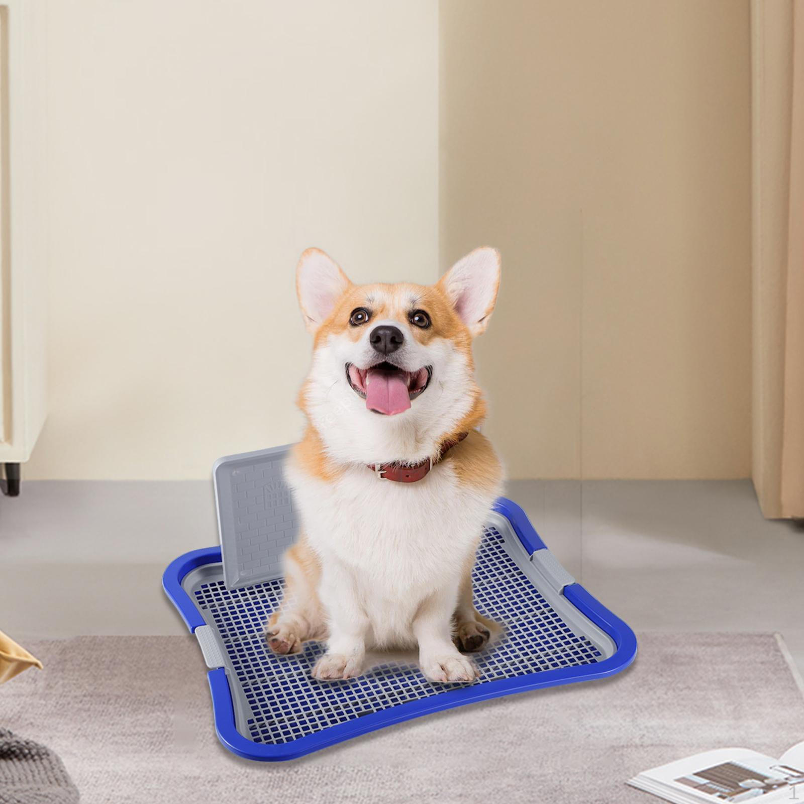 

Приучение к горшку для собак, подстилка для щенков, писсуар для приучения питомцев к горшку синий