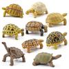 Realistische Schildkröten-Actionfigur Lebensechtes Amphibien-Reptilienmodell Ornamente Für Kinder Geschenke Heimdekoration
