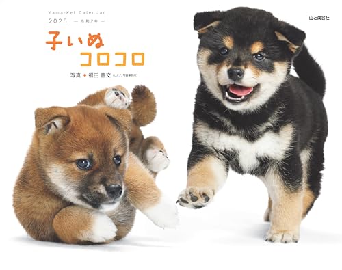 

Calendar 2025 Baby Dog CoroCoro (Month Turn/Wall Hanging) (Yamakei Calendar 2025)