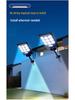 Induction Solar Street Light for Courtyards and Rural Homes