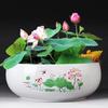 Großer Keramik-Lotus Seerose Hydroponischer Blumentopf ohne Abfluss
