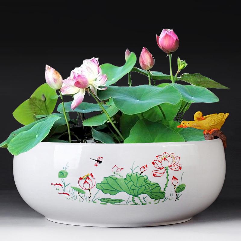 Großer Keramik-Lotus Seerose Hydroponischer Blumentopf ohne Abfluss