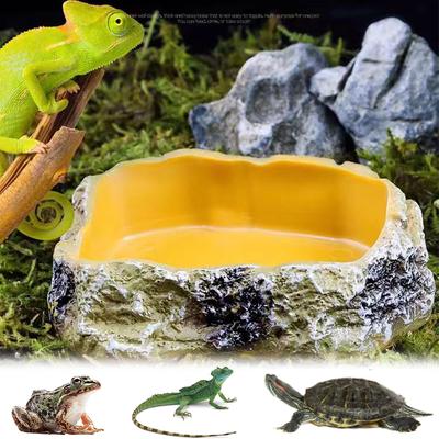 Reptielen – Reptielen terraria