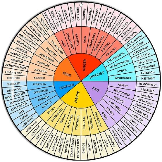 VROCUSE Feelings Wheel Large 12 inch, Acrylic Emotion Wheel Chart For Therapy School Counselor, Social Worker, Counseling Office Decor