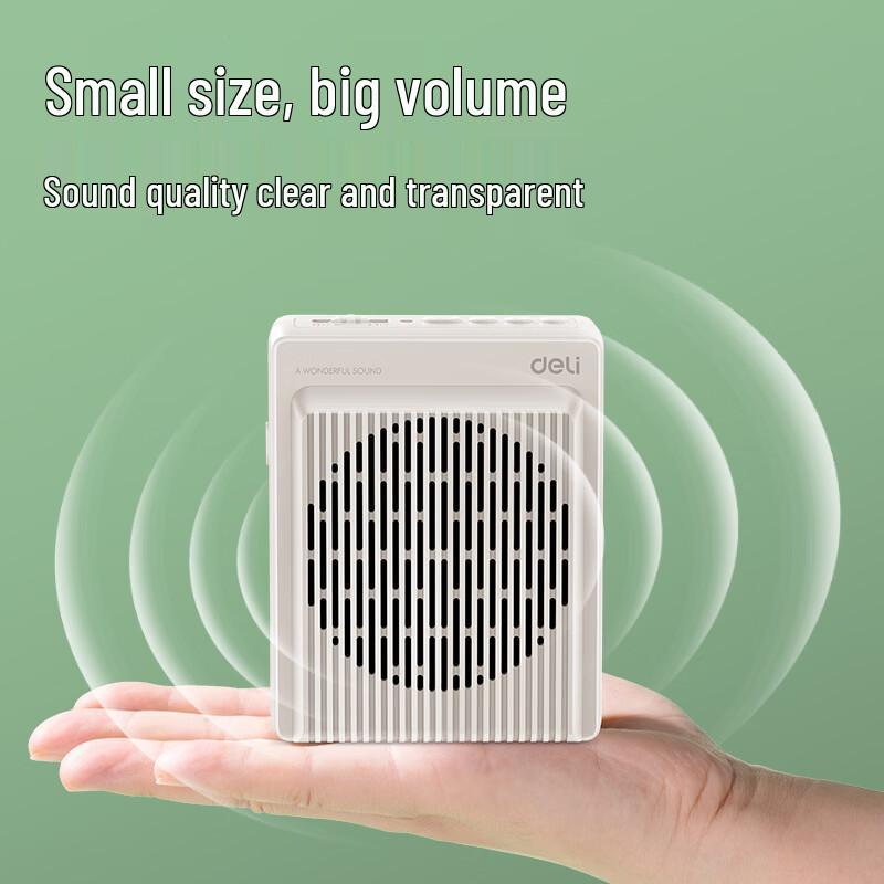 Deli LT920T 13W Wireless Portable Amplifier CN plug (adapter included)