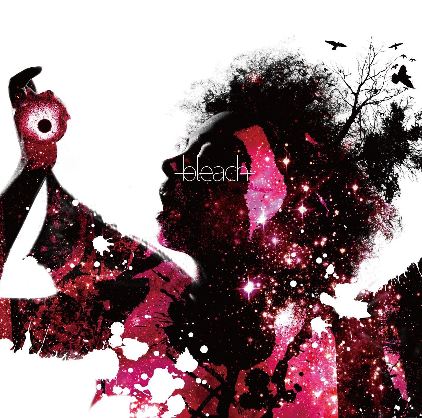 

bleach [Regular Edition]