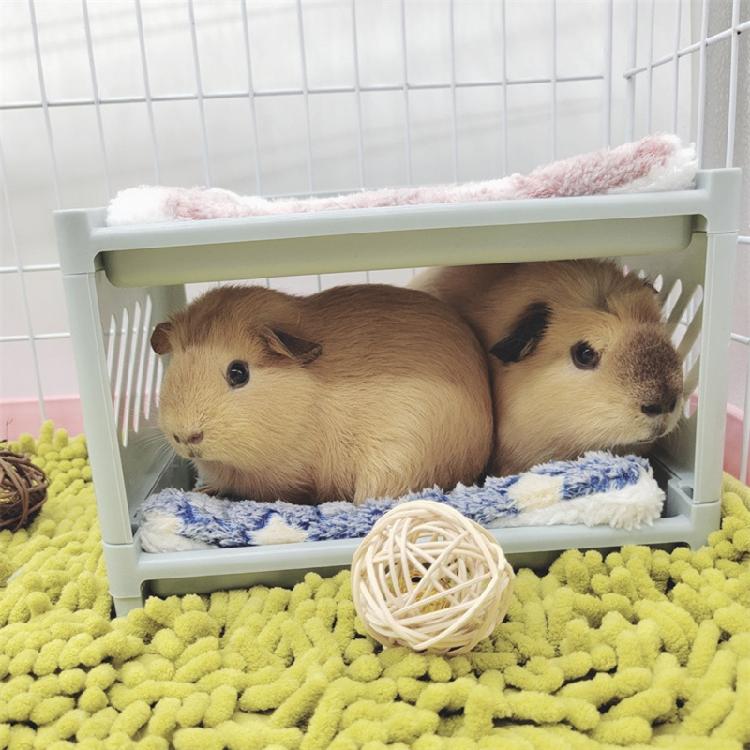 Piętrowe łóżko dla chomika Kącik dla małych zwierząt Ciepły domek-gniazdo Akcesoria