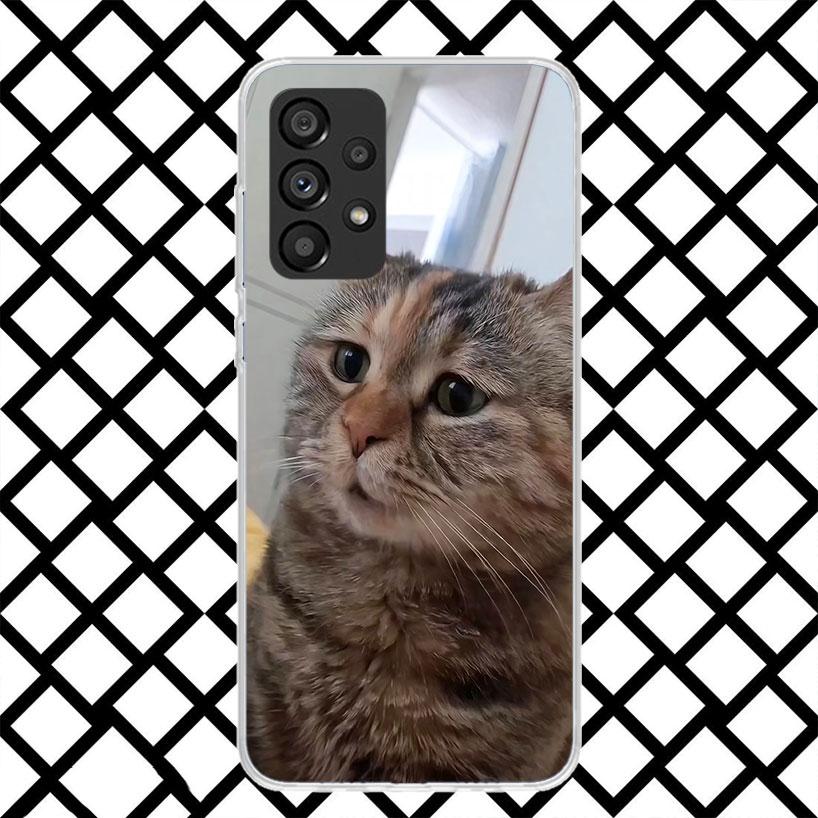 Pet Cat Funny Memes Phone Case for Samsung Galaxy A52 A42 A32 A22 A12 A02S A51 A50 A71 A70 A41 A31 A21S A40 A30S A20S A10S A11