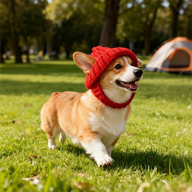 Knitted Dog Hat & Scarf for French Bulldog, Pug, Shiba Inu, Corgi – Winter Ear Cover