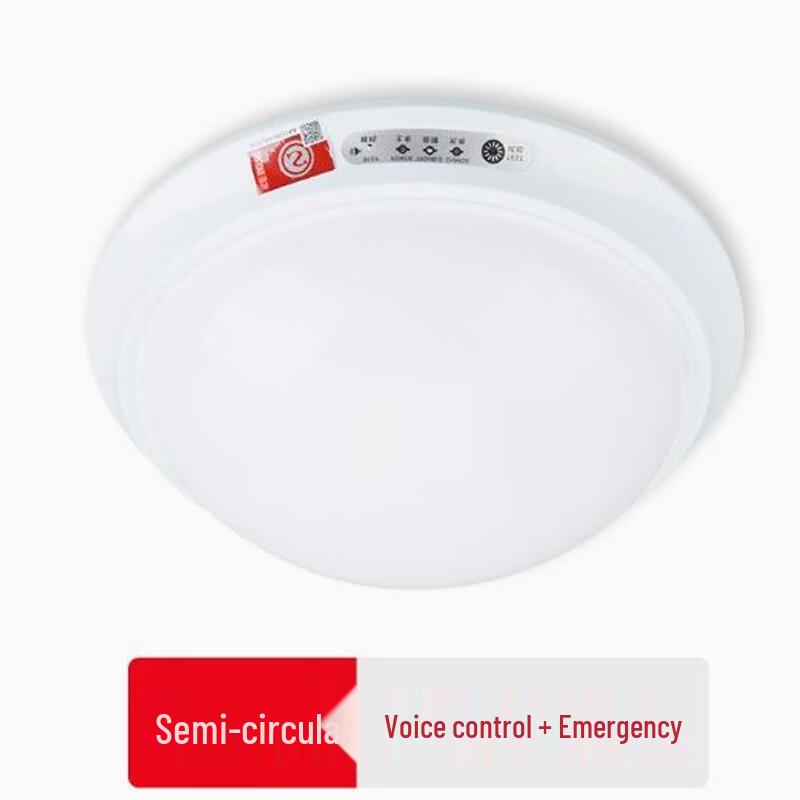YAMINGEX 12W Semicircular Emergency Ceiling Light
