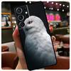 Animal Owl Phone Case For Samsung Galaxy S24 Ultra S20 S21 S22 S23 S25 Ultra S9 S10 Plus S25 FE Cover
