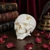 Decorazione Cranio Alieno Ornamento di Halloween, Forma in Resina Sintetica Scultura Figura Dettaglio Osseo Realistico, Ornamento da Tavolo per Feste