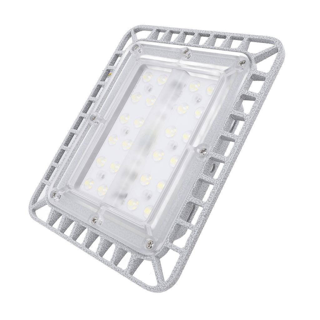 LED Explosion Proof Light 50W 5500LM 5000K High Brightness IP65 Water Resistant Die Cast Aluminum LE