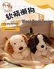 Lying Lazy Dog Plush Toy - Cute & Trendy Comfort Gift for Kids