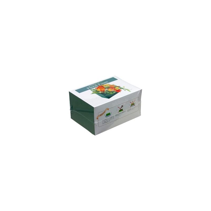 Nippon Floral Foam, Sponge for Fresh Flowers