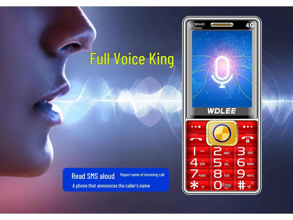 Wandeli N11 4G Senior Phone: Large Font, Loud Sound, Bar Key Design for Elderly