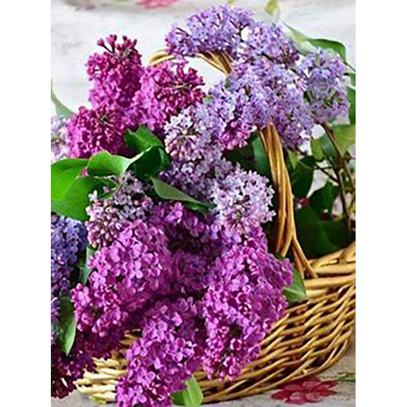 5D DIY Diamond Painting Flowers Rose Cross Stitch Kit Full Round Drill Embroidery Mosaic Wall Art Rhinestones Home Decor Gift