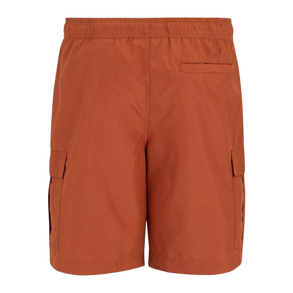Regatta Mens Blanmont Swim Shorts