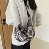Fashionable 2023 Fall Trendy Shoulder Bag Chic Street Style Dumpling Bag In Canvas