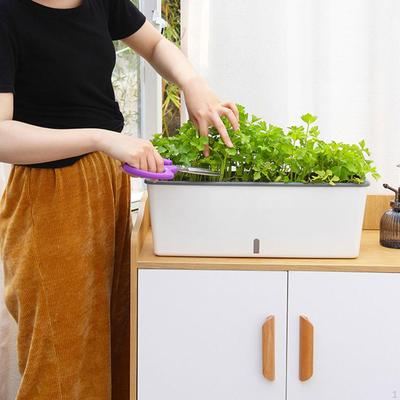 Macetas y jardineras – Contenedores para plántulas