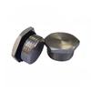 Stainless Steel External Hex Sealing Plug