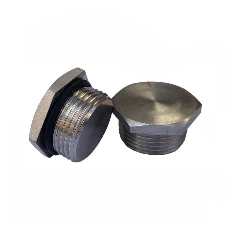 Stainless Steel External Hex Sealing Plug