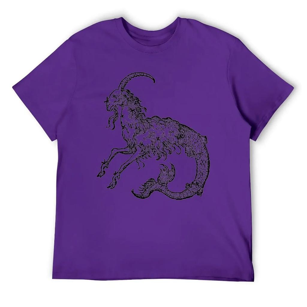 Capricorn Twelve Constellation (4) T-shirt Harajuku Move Tshirt Vintage Home Funny Novelty USA Size