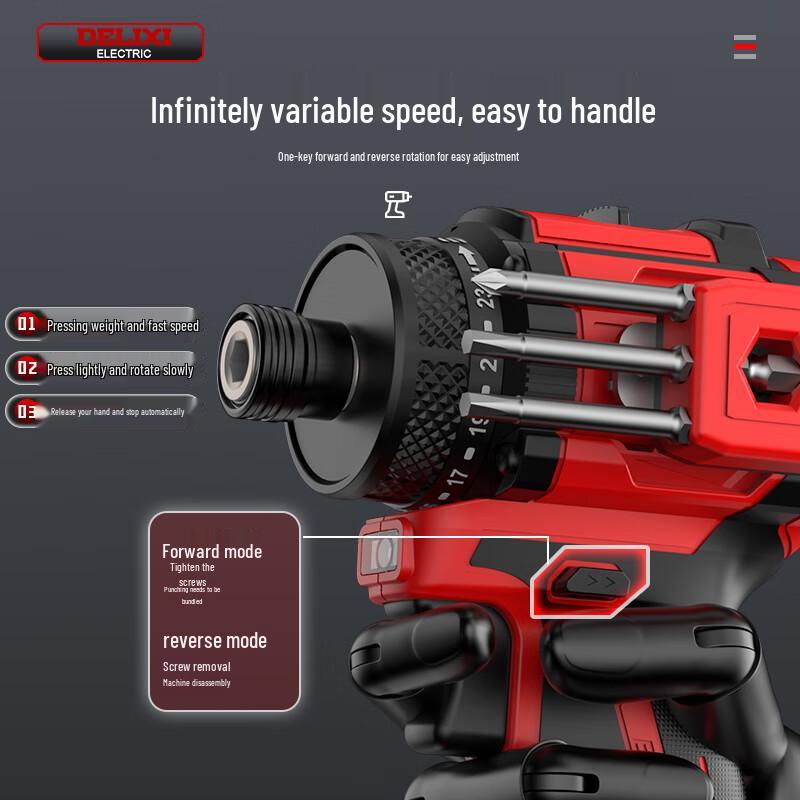 DELIXI ELECTRIC Brushless Cordless Multi-Function Drill & Screwdriver CN Plug (adapter Included)