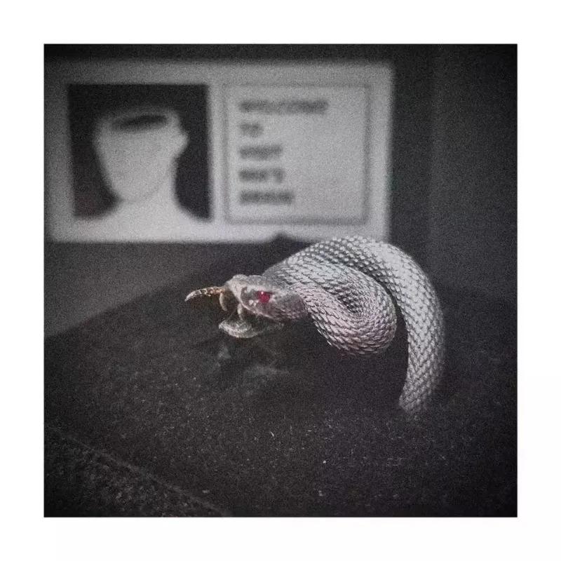 Vintage Gothic Rattlesnake Adjustable Ring for Men and Women Punk Dark Style Trendy Design Couple Rings Jewelry Accessories