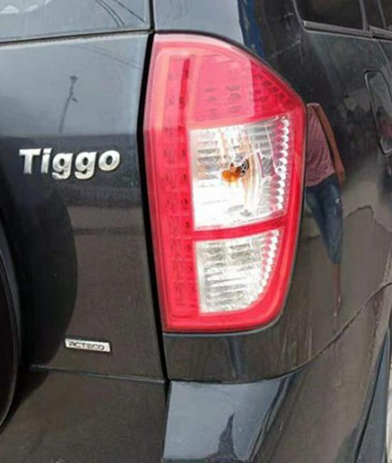 Compatible Rear Taillight Assembly for Chery Tiggo 3 (2010-2013) Models